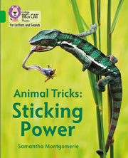 Big Cat Phonics For Letters & Sounds Tit