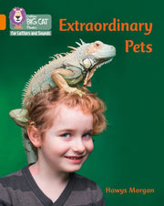 Big Cat L S Extraordinary Pets