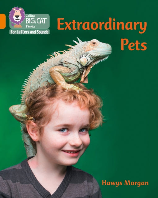 Big Cat L S Extraordinary Pets