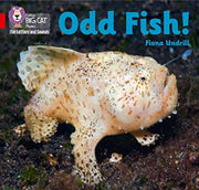 Big Cat L S Odd Fish