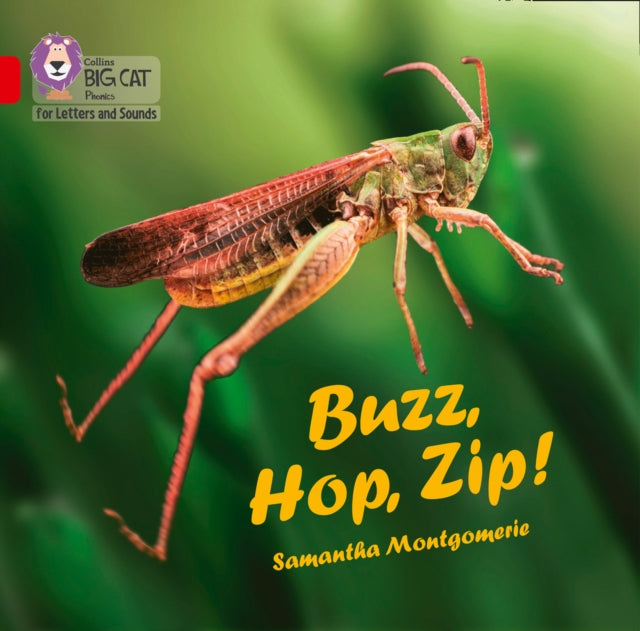 Big Cat L S Buzz Hop Zip Bb