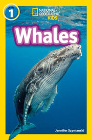 Whales Level 1