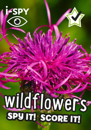 I Spy Wildflowers