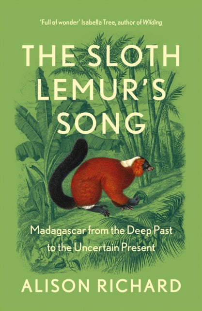 Sloth Lemurs Song