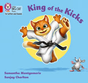 Big Cat L S Kick It Zip