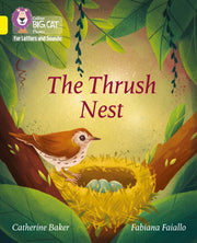 Big Cat Thrush Nest