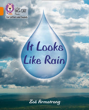 Big Cat L S It Looks Like Rain