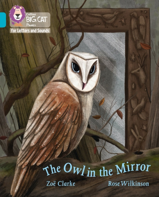 Big Cat L S The Owl Mirror