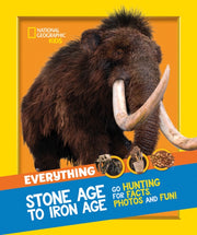 Everything Stone Age To Iron Age
