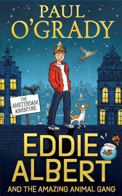 Amsterdam Adventure By O'grady, Paul