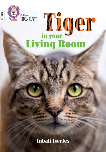Tiger In Your Living Room 10+ White Plus