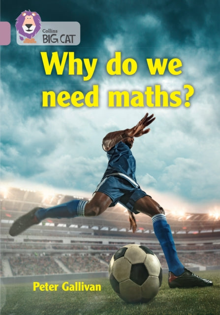 Why Do We Need Maths Band 15/emerald