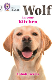 Wolf In Your Kitchen Band 10+ White Plus
