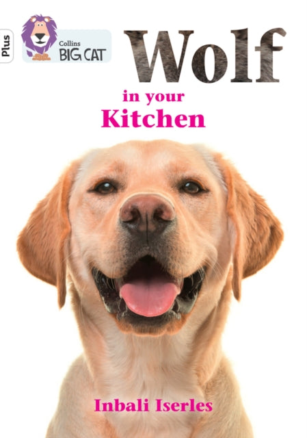 Wolf In Your Kitchen Band 10+ White Plus
