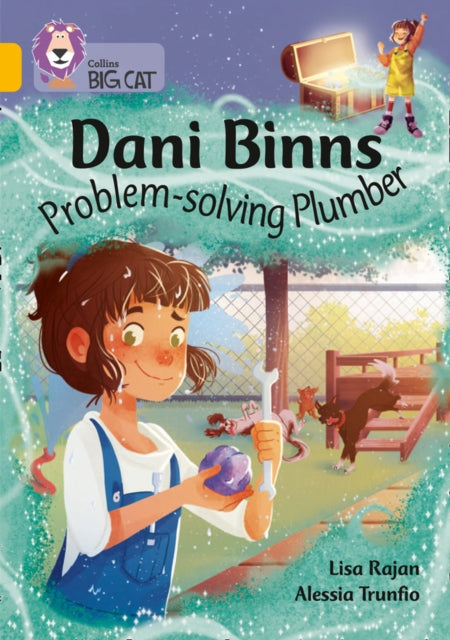 Dani Binns Problem-solving Plumbr 9 Gold