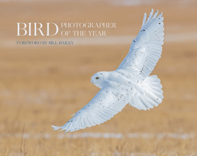 Bird Photographer Of The Year Collectn 6 By Bird Photographer