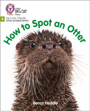 Big Cat Lw L S Spot Otter