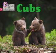 Cubs Phase 2 Set 5
