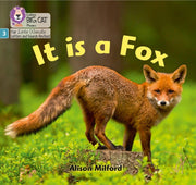 Big Cat Lw L S It Is A Fox