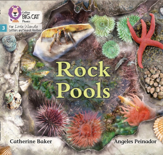 Rock Pools Phase 3 Set 1