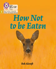 How Not To Be Eaten Phase 5 Set 4