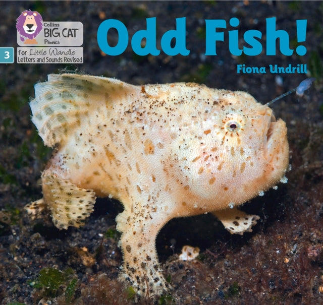 Odd Fish Phase 3 Set 1
