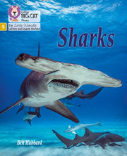 Big Cat Lw L S Super Sharks