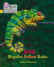 Big Cat Lw L S Reptile Rule