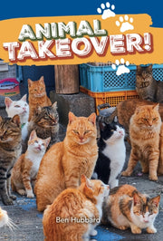 Big Cat Phonics Yr 3 Bk 9 Nf 2