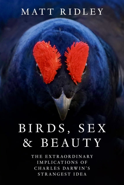 Birds Sex & Beauty