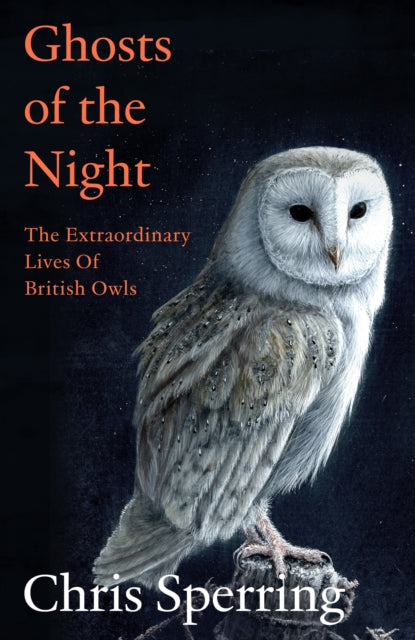 Ghosts Of The Night