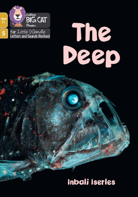 Deep Phase 5 Set 4