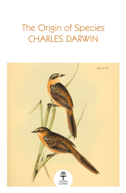 Origin Of Species Classics Pb
