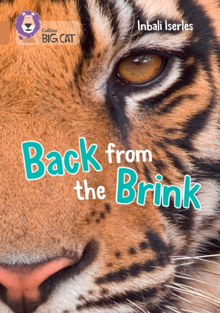 Non Fiction 9 Big Cat