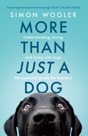 More Than Just A Dog