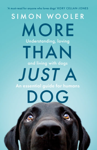 More Than Just A Dog