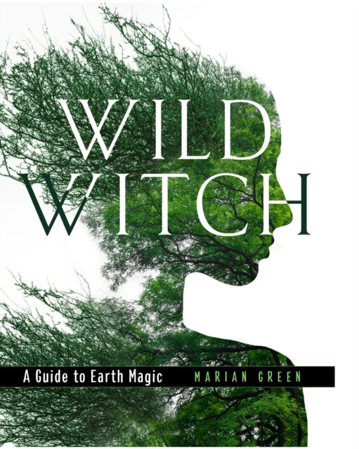 Wild Witch Hb