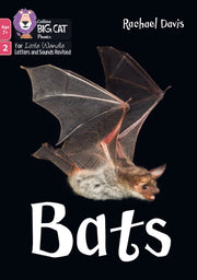 Big Cat Lw 7 By Bats