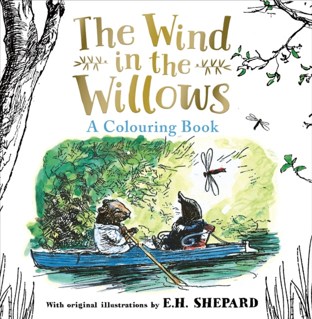 Wind In The Willows Colouring Book