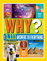 Why Over 1111 Answers To Everything
