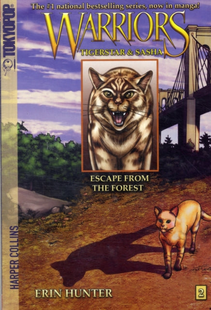 Warriors Tigerstar Sasha Pb
