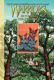 Warriors Skyclan & The Stranger 3 After By Hunter, Erin