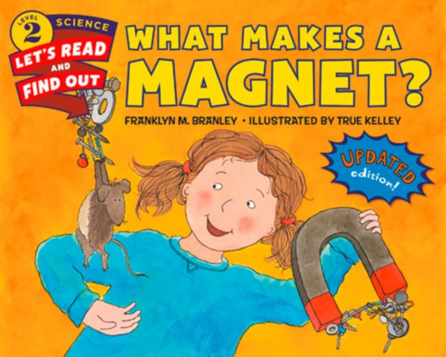 What Makes A Magnet Level 2