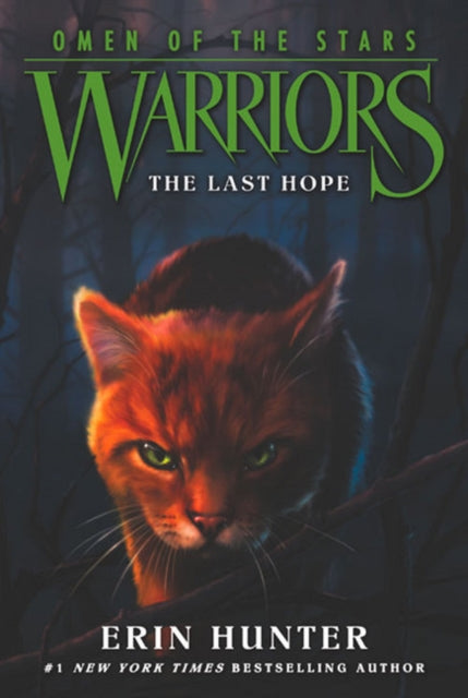 Warriors Omen Of The Stars 6 The Last Ho