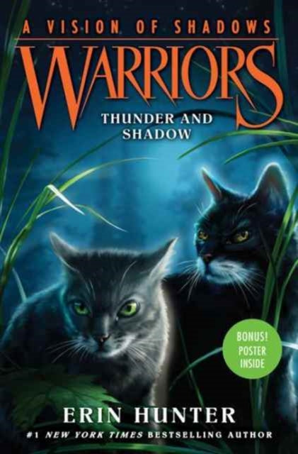 Warriors A Vision Of Shadows 2 Thunder &