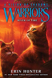 Vision Of Shadows 5 River Of Fire