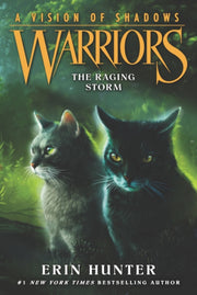 Warriors A Vision Of Shadows 6 Warriors