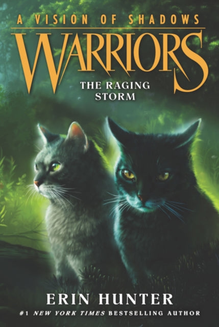 Warriors A Vision Of Shadows 6 Warriors