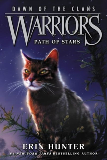 Warriors Dawn Of The Clans 6 Path Of Sta