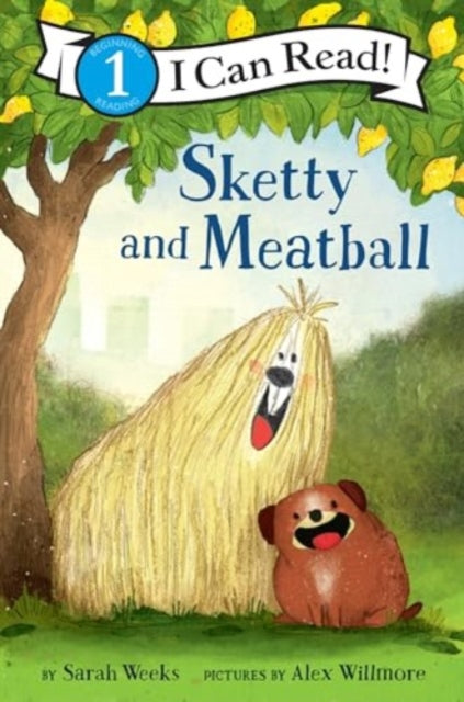 Sketty Meatball Pb
